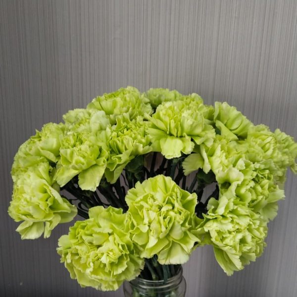 Carnation green